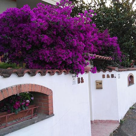 B&B Domus Gratiae Ostia Antica Exterior foto